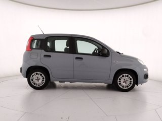 FIAT Panda 1.0 firefly hybrid s&s 70cv