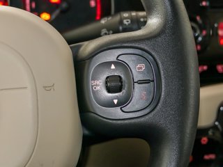 FIAT PANDA 1.3 MJET 75CV TREKKING 4X4