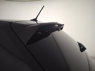 VOLKSWAGEN Polo 2.0 tsi gti dsg