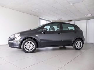 FIAT Punto 5p 1.3 mjt 16v street 75cv e5+